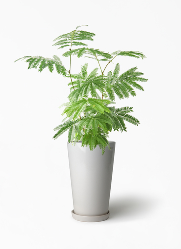 everfresh-1040_1.jpg?1745388539