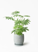 everfresh-1039_1.jpg?1745388543