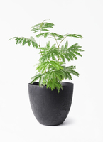 everfresh-1053_1.jpg?1745388575