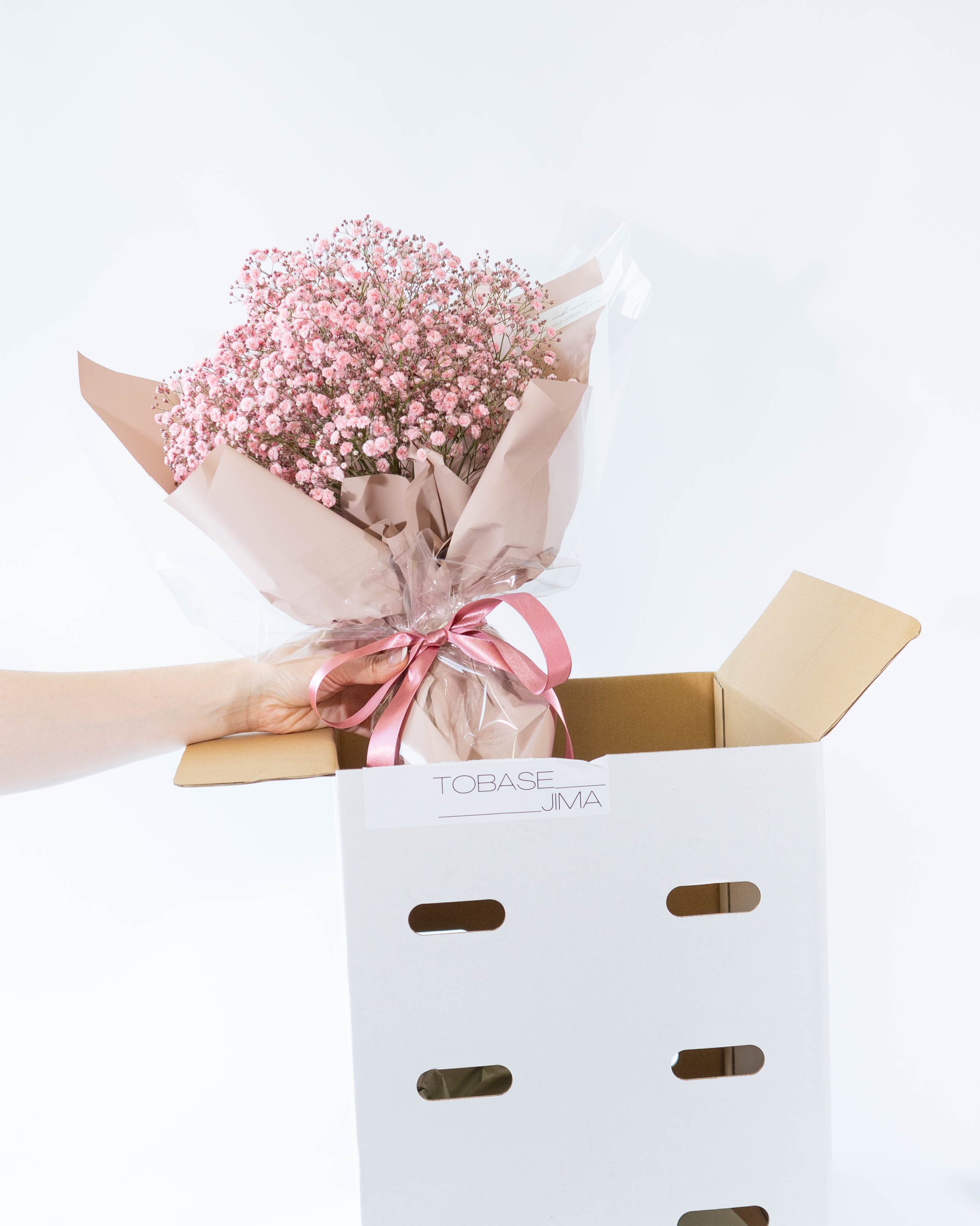 産地直送 かすみ草 花束 サーモンピンク レギュラーサイズ／熊本
