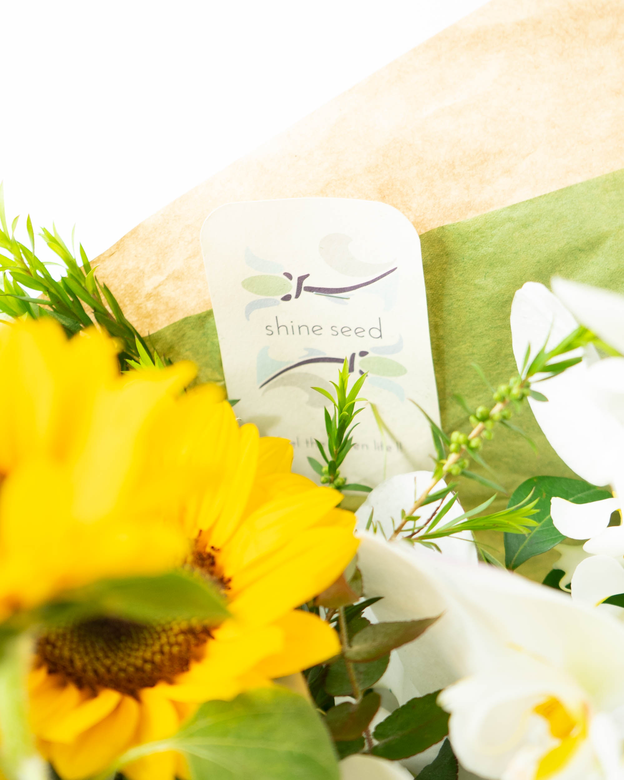 産地直送 胡蝶蘭 ひまわり アレンジメント M／千葉 shine seed