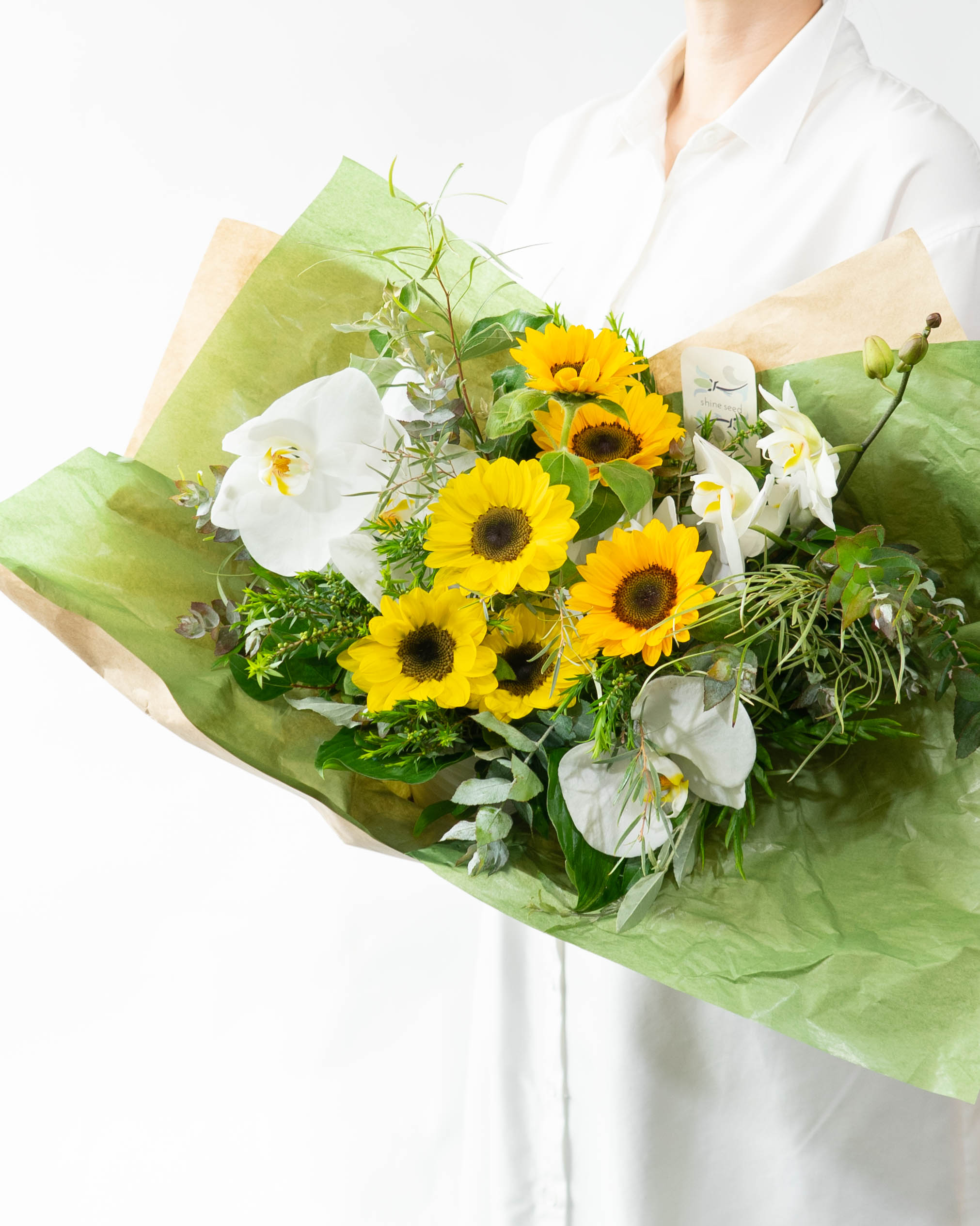 産地直送 胡蝶蘭 ひまわり アレンジメント M／千葉 shine seed