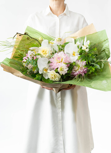 ds-shineseed-phalaenopsis-