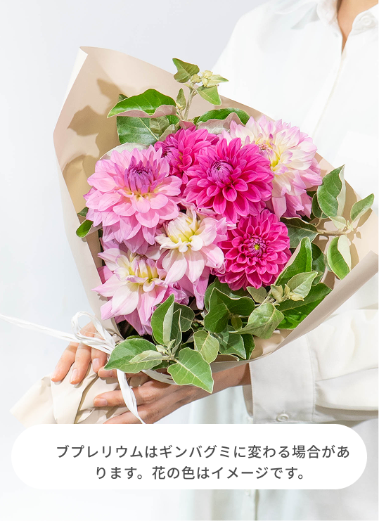 期間限定10％OFF対象商品】産地直送 ダリア花束 オレンジミックス M
