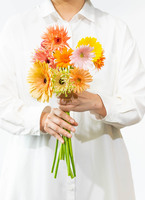 数量限定】産地直送 ガーベラ ご自宅用花束 おまかせミックス 10本束