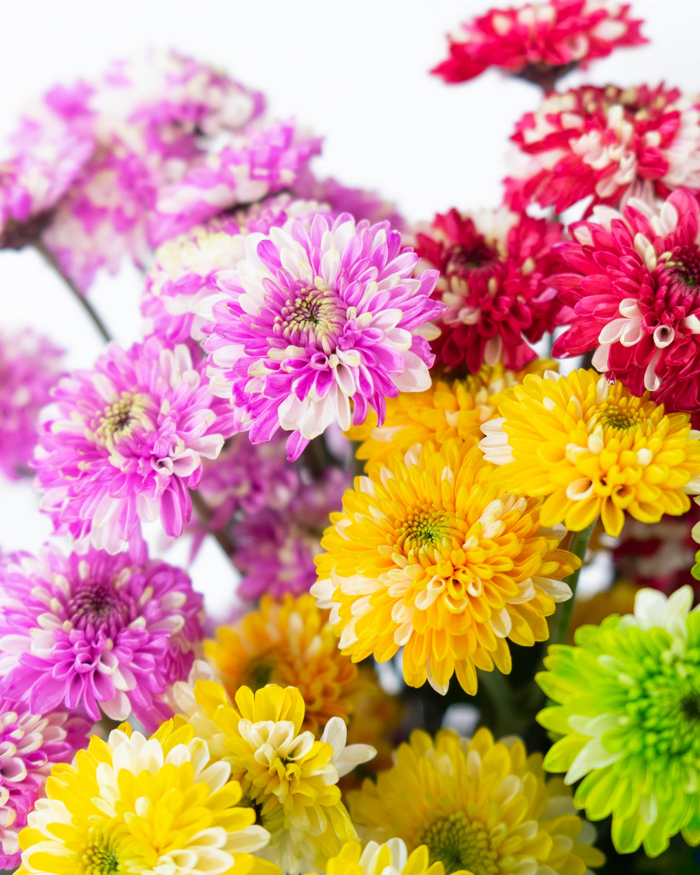 宙花む 39116 Knit Top 