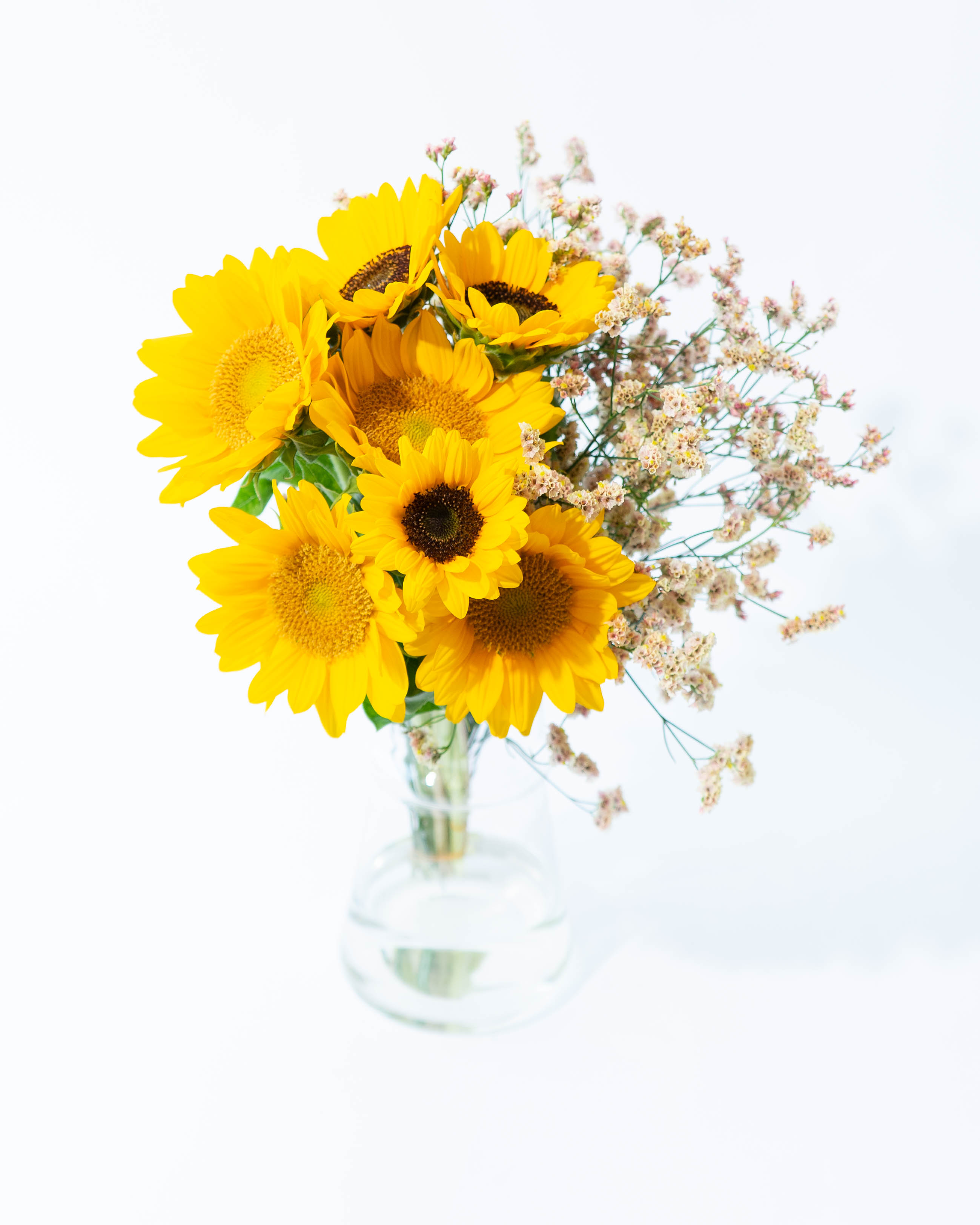 産地直送 ひまわり ハイブリットスターチス 花束 イエロー/長野 産地直送 ひまわり ハイブリットスターチス 花束 イエロー/長野