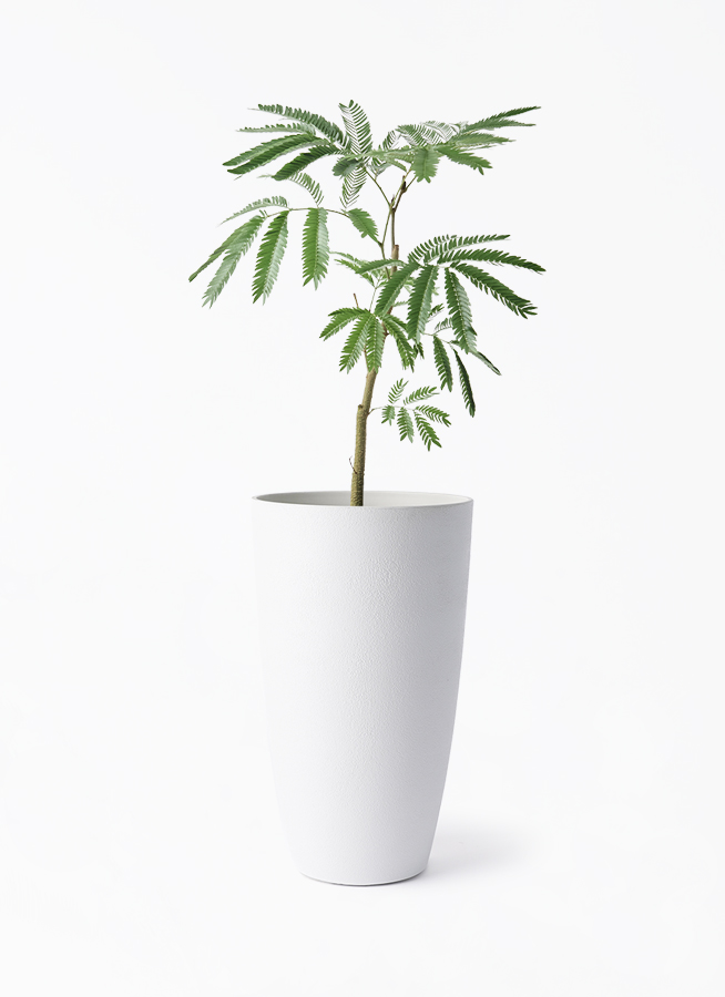 everfresh-1095_1.jpg?1754447524