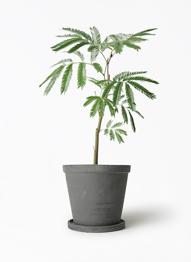 everfresh-1082_1.jpg?1754447549