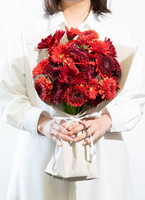 レッドガーベラ様　5点おまとめ レッドガーベラ様5点おまとめ