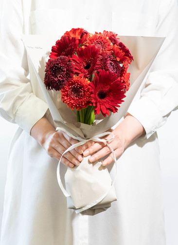 ds-matsushita-gerbera-red-