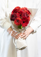 レッドガーベラ様　12点おまとめ ds-matsushita-gerbera-red-