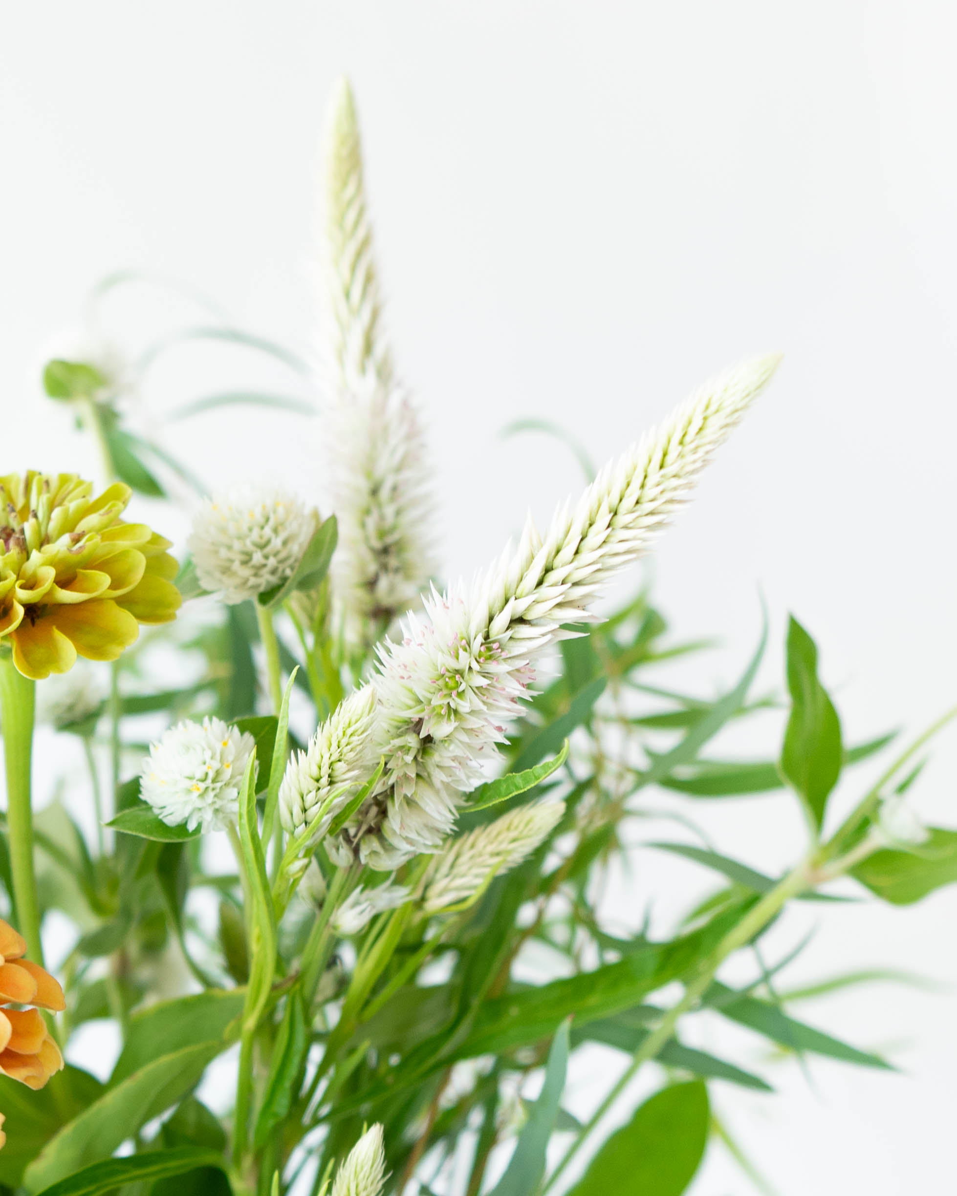 カメヤマ 線香（お香） 和遊 金木犀の香りと産地直送 ケイトウ 草花