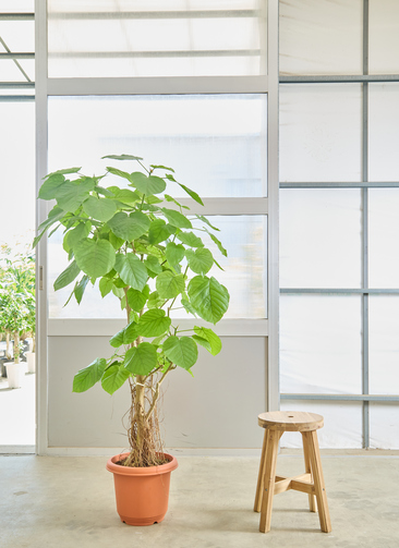 others-3805_0001.jpg?1760414968