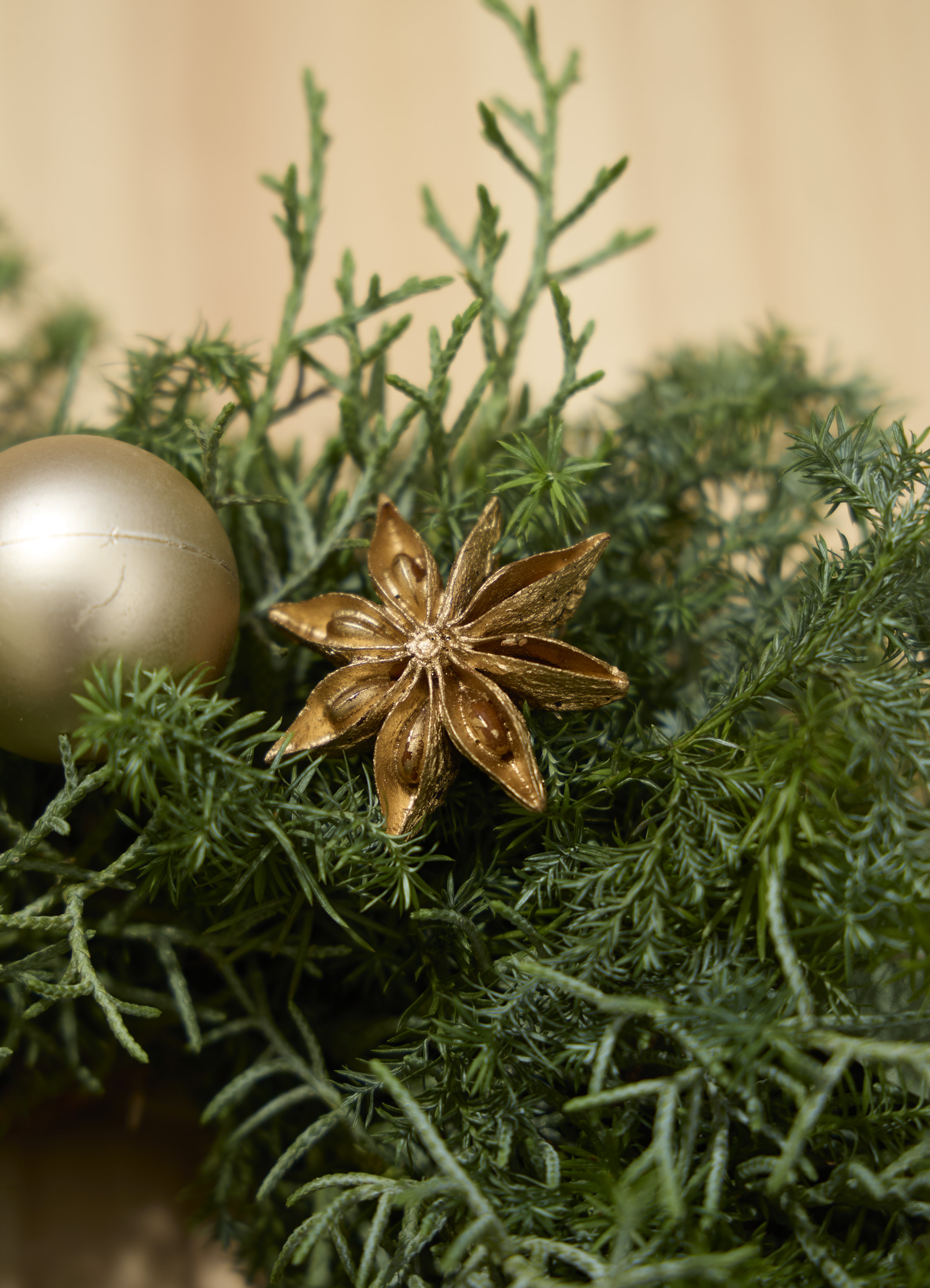 クリスマス てづくりのフレッシュリース プラチナ ミニ | フラワー