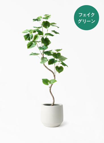 観葉植物【フェイクグリーン】ウンベラータ 曲り 150cm パボ ミドル