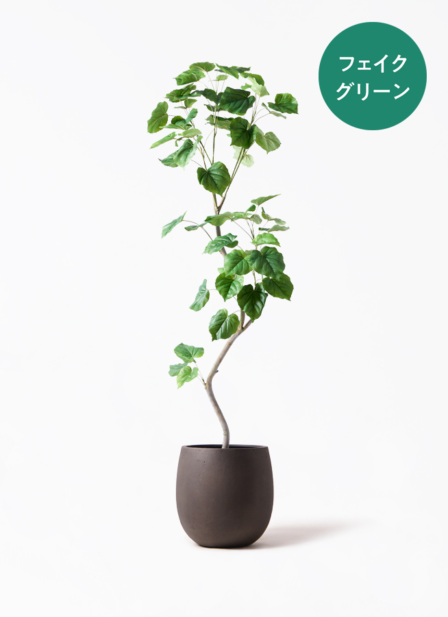フェイクグリーン フィカス ウンベラータ | 通販専門店 HitoHana（ひと