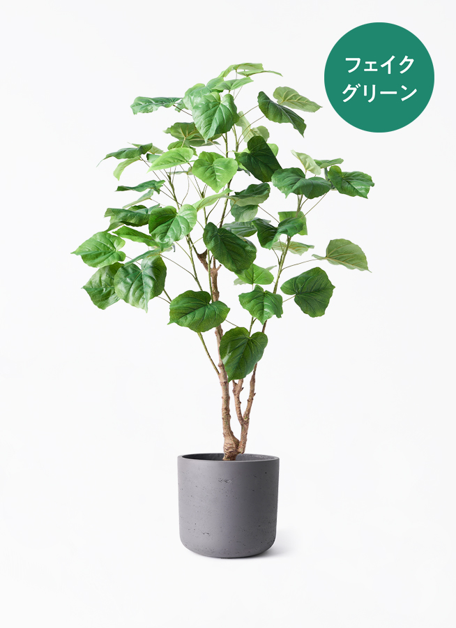 観葉植物【フェイクグリーン】ウンベラータ 120cm アイルエッグ グレー