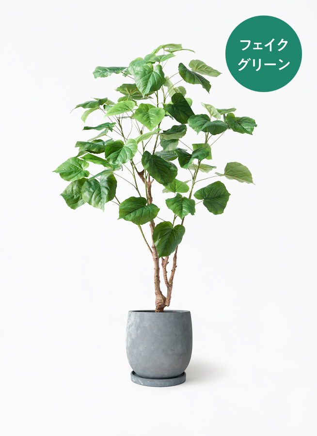 フェイクグリーン　ウンベラータ 観葉植物【フェイクグリーン】ウンベラータ 120cm アイルエッグ グレー