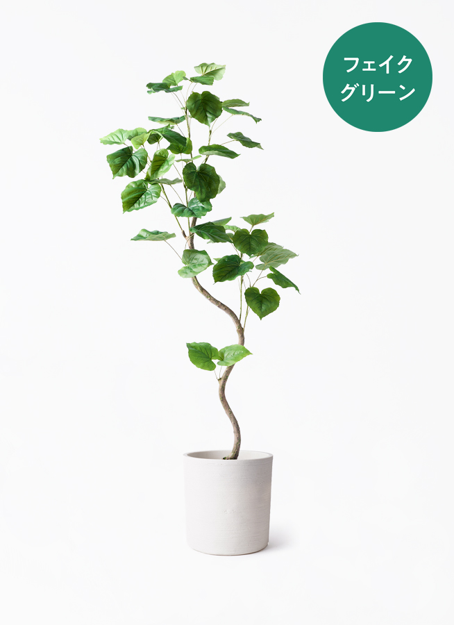 観葉植物【フェイクグリーン】ウンベラータ 曲り 150cm パボ ミドル