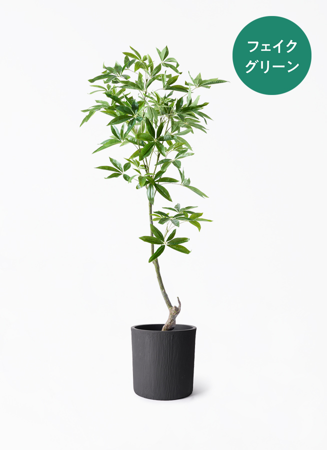 パキラ 約1.5メートル　フェイクグリーン　着払いでよろしければお安くできます！ 観葉植物【フェイクグリーン】パキラ 150cm ベースポット入り | 観葉