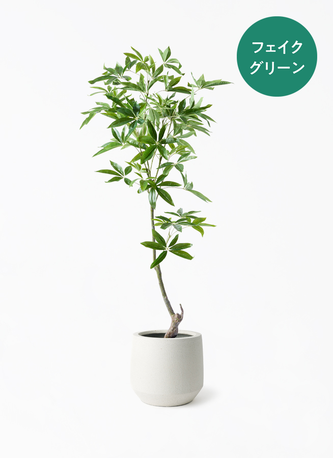 観葉植物【フェイクグリーン】パキラ 150cm ベースポット入り | 観葉