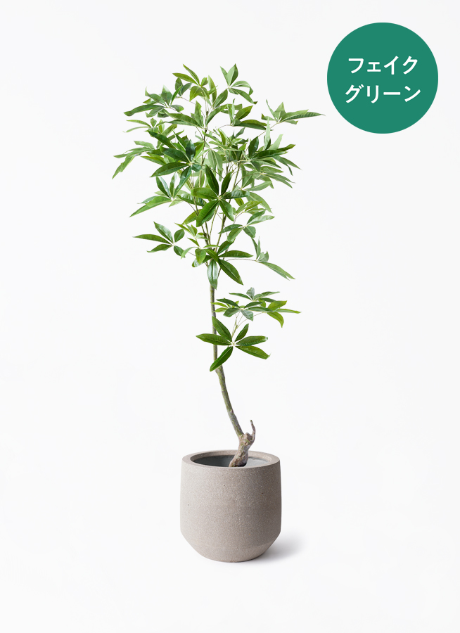 観葉植物【フェイクグリーン】パキラ 150cm ラスターポット 付き