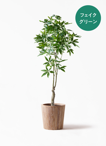 観葉植物【フェイクグリーン】パキラ 180cm ウッドプランター 付き