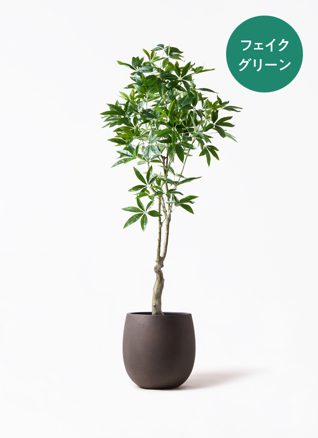 観葉植物【フェイクグリーン】パキラ 180cm Eco Stone (エコストーン