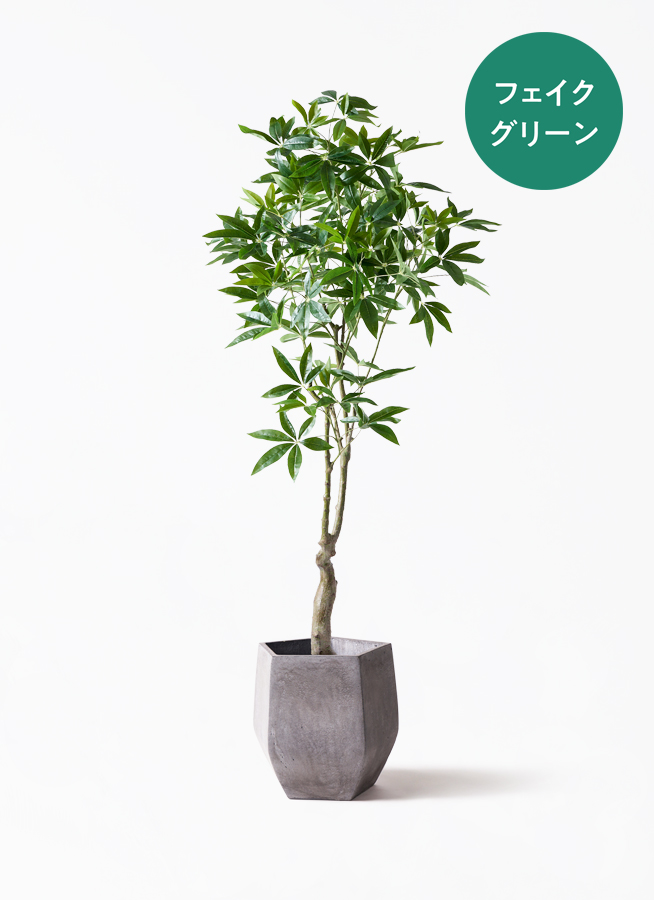 観葉植物【フェイクグリーン】パキラ 180cm Eco Stone (エコストーン