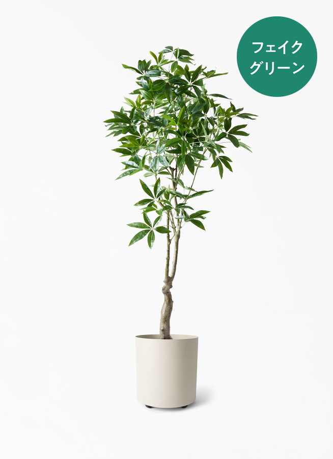 ロングパキラオーバル　観葉植物　フェイクグリーン 観葉植物【フェイクグリーン】パキラ 180cm ウッドプランター 付き
