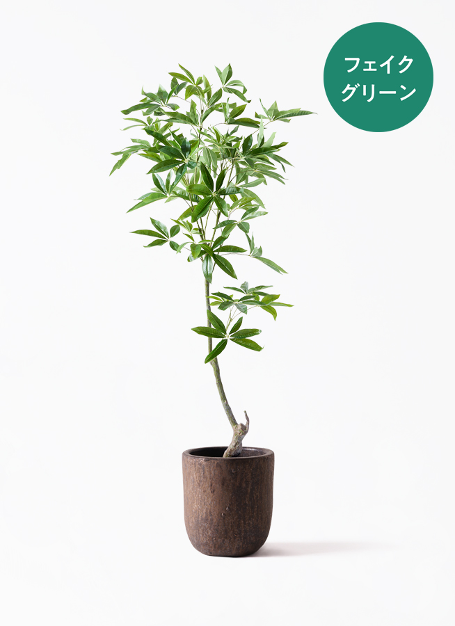 観葉植物【フェイクグリーン】パキラ 150cm パボ ミドル アース