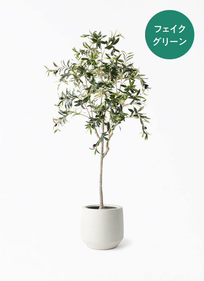 観葉植物【フェイクグリーン】オリーブ 実付き 156cm パボ ミドル