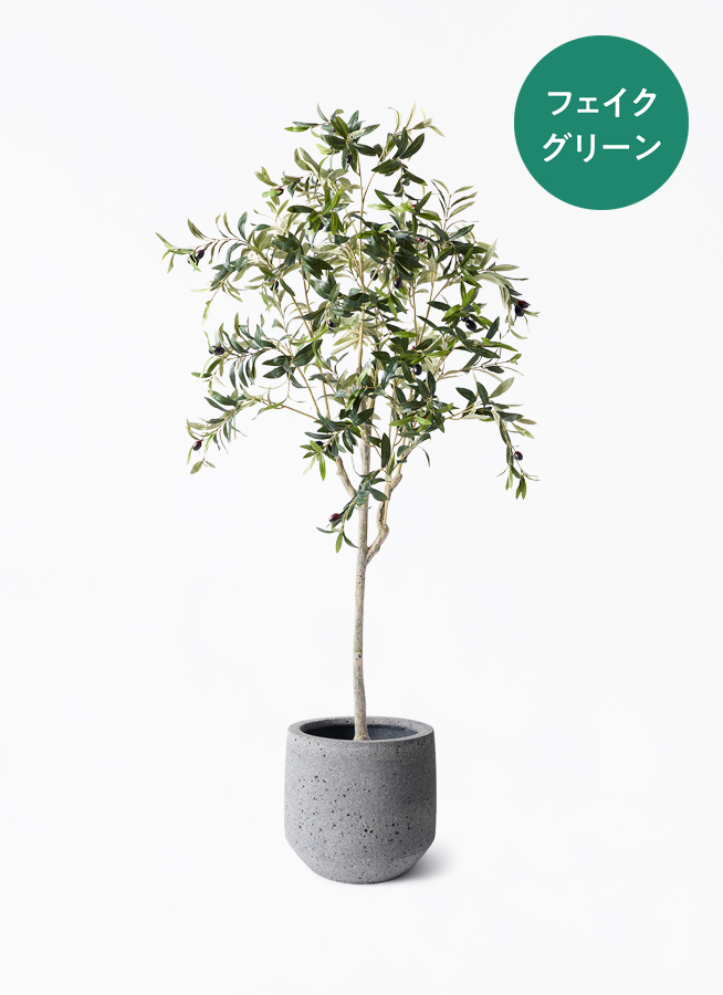 観葉植物【フェイクグリーン】オリーブ 実付き 156cm ホルスト
