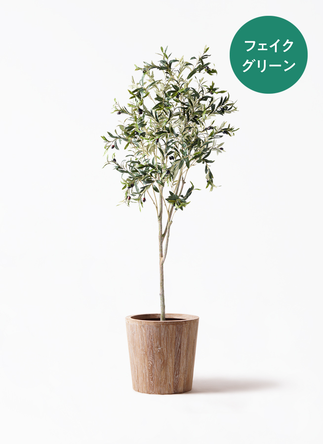 観葉植物【フェイクグリーン】オリーブ 実付き 180cm ファイバークレイ