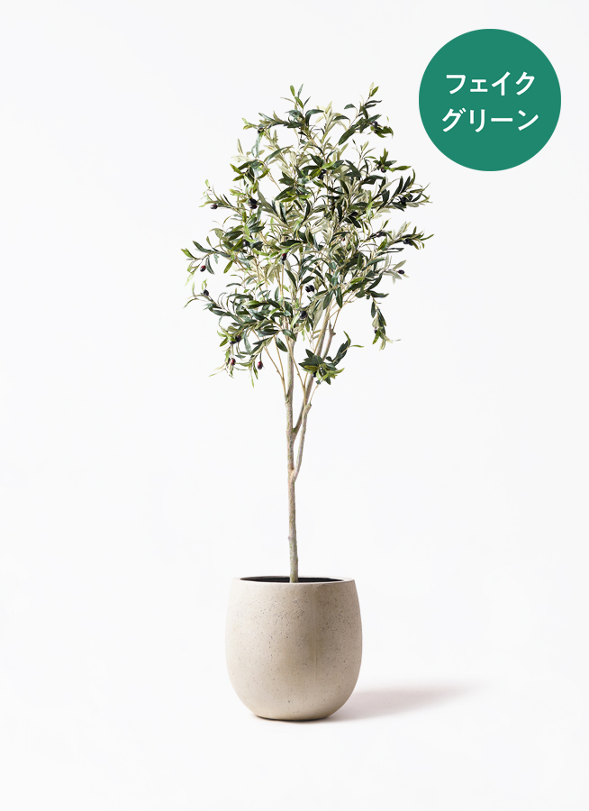 観葉植物【フェイクグリーン】オリーブ 実付き 180cm テラニアス