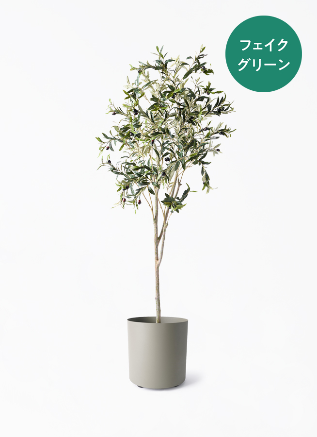 オリーブ　フェイク 観葉植物【フェイクグリーン】オリーブ 実付き 180cm ウッドプランター