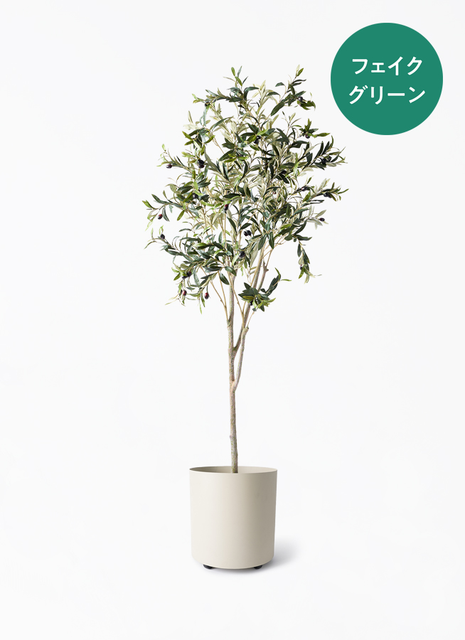観葉植物【フェイクグリーン】オリーブ 実付き 180cm ウッドプランター