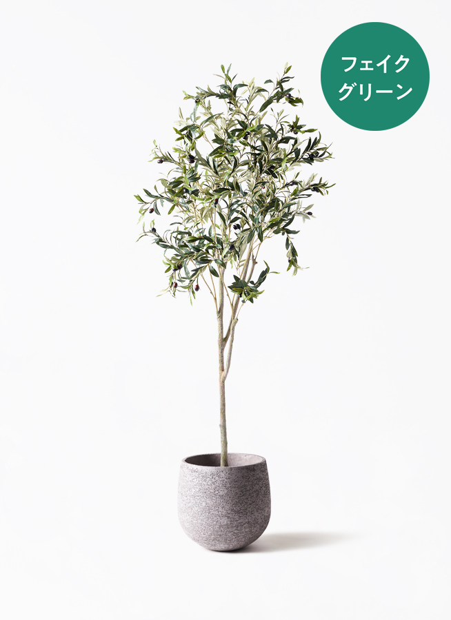 観葉植物【フェイクグリーン】オリーブ 実付き 180cm ベースポット入り