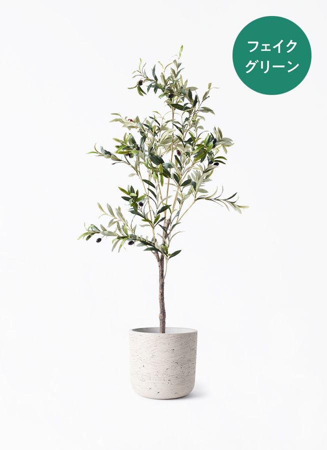 【超リアルなオリーブの木】実つきフェイクグリーンで叶える憧れのオリーブライフ 観葉植物【フェイクグリーン】オリーブ 実付き 115cm アイルエッグ