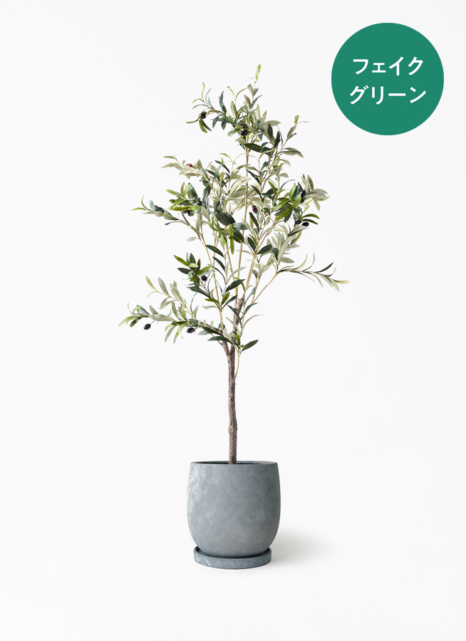観葉植物【フェイクグリーン】オリーブ 実付き 115cm アイルエッグ
