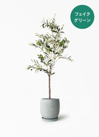 観葉植物【フェイクグリーン】オリーブ 実付き 115cm アイルエッグ