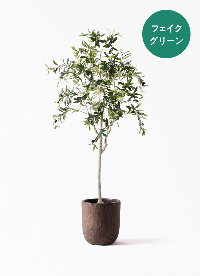 観葉植物【フェイクグリーン】オリーブ 実付き 156cm パボ ミドル