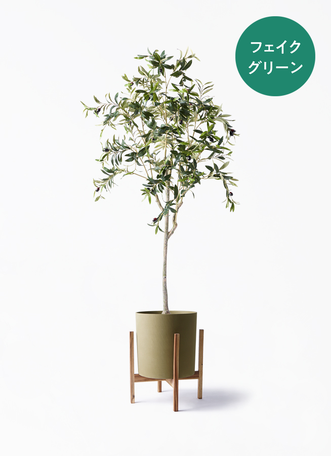 観葉植物【フェイクグリーン】オリーブ 実付き 156cm パボ ミドル