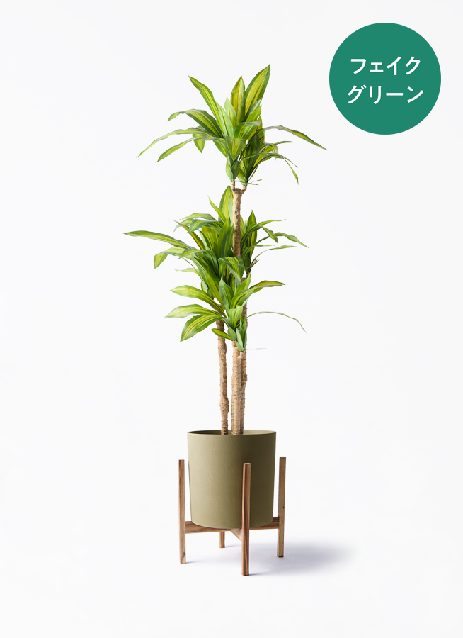 観葉植物【フェイクグリーン】幸福の木 150cm パボ ミドル オフ
