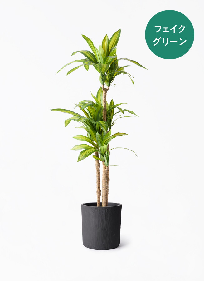 観葉植物【フェイクグリーン】幸福の木 150cm ホルスト シリンダー