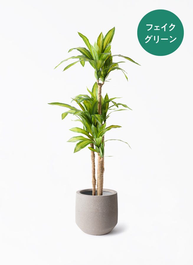 観葉植物【フェイクグリーン】ドラセナ 幸福の木 150cm ベースポット