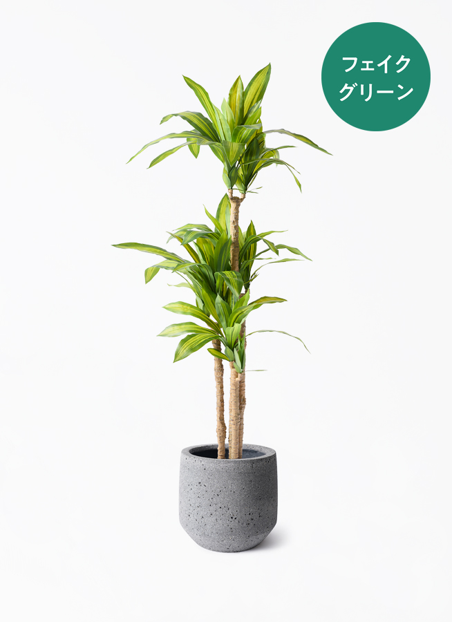 フェイクグリーン ドラセナ 幸福の木 | 通販専門店 HitoHana（ひとはな）