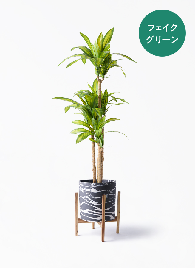 観葉植物【フェイクグリーン】幸福の木 150cm パボ ミドル オフ