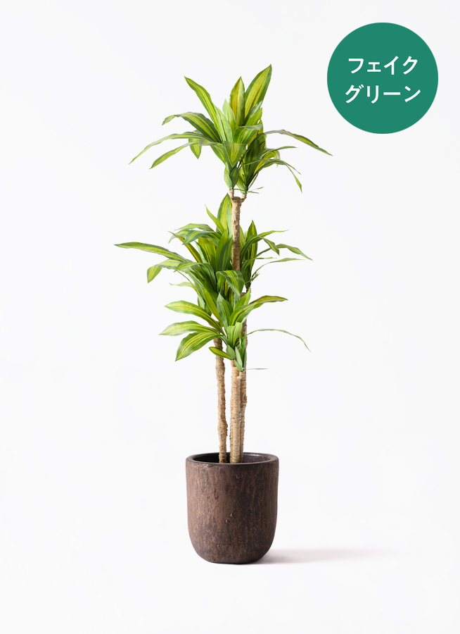 人工観葉植物 フェイクグリーン4点 ホワイト鉢付き 観葉植物【フェイクグリーン】幸福の木 150cm パボ ミドル オフ